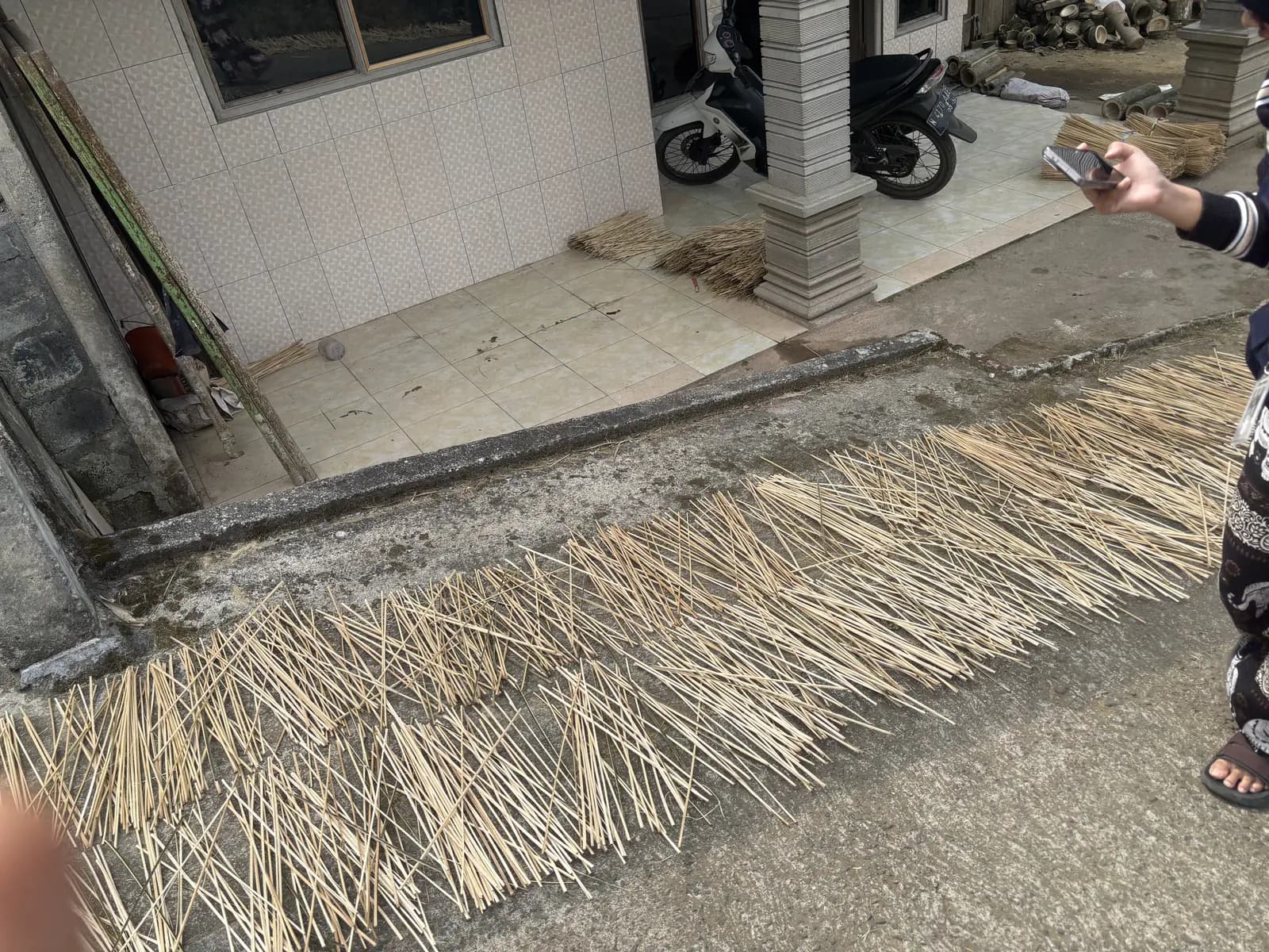 Rumpun bambu petung di Dusun Segelan