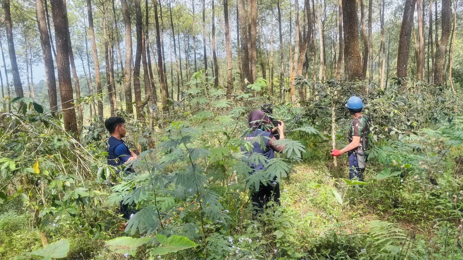 Pemandangan kebun dan rumpun bambu Desa Balesari